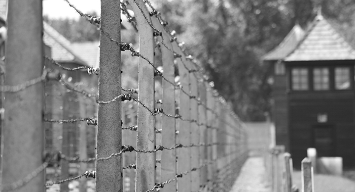 Giornata Memoria 27 gennaio Teatro Politeama Rotary Club