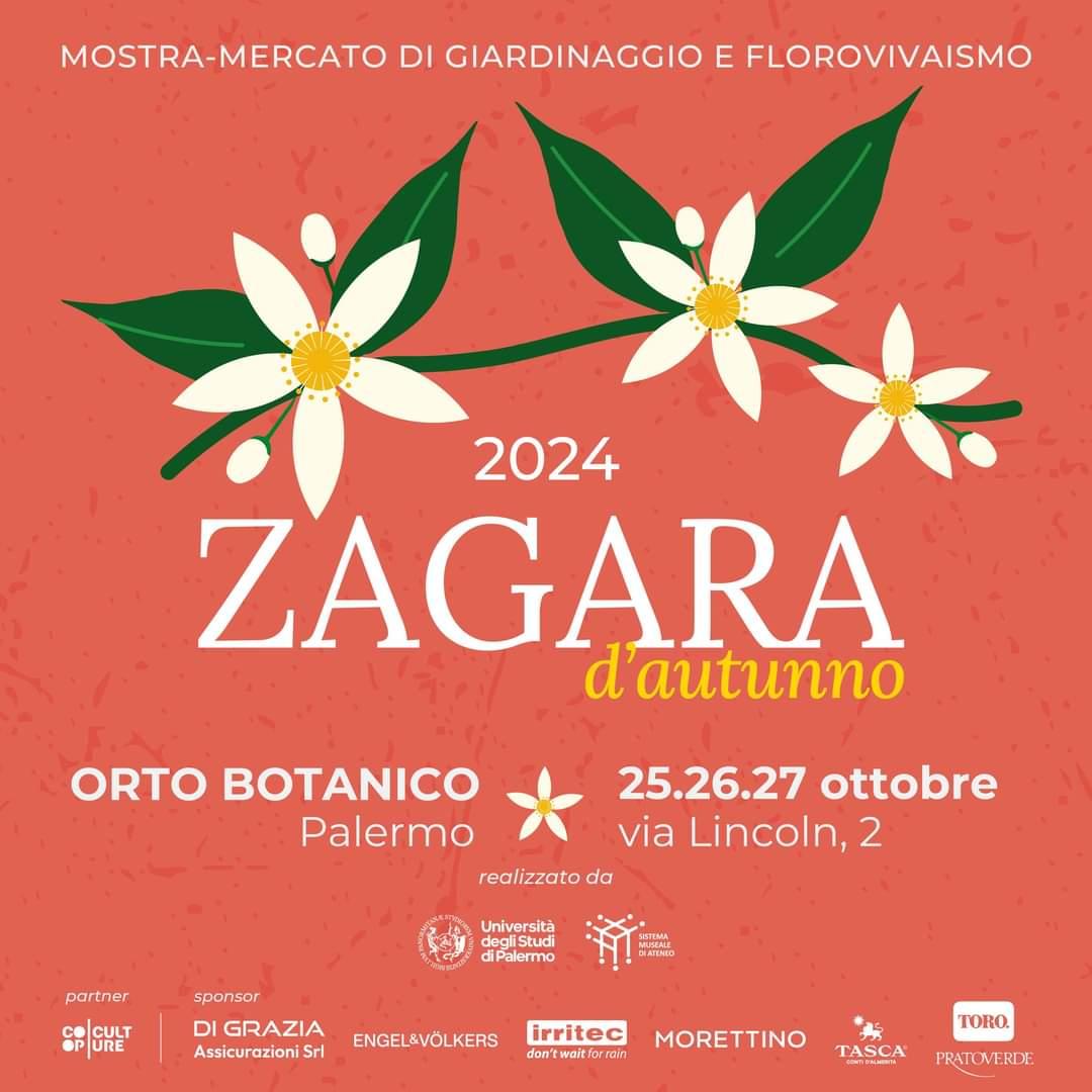 Immagine Zagara d'Autunno 2024