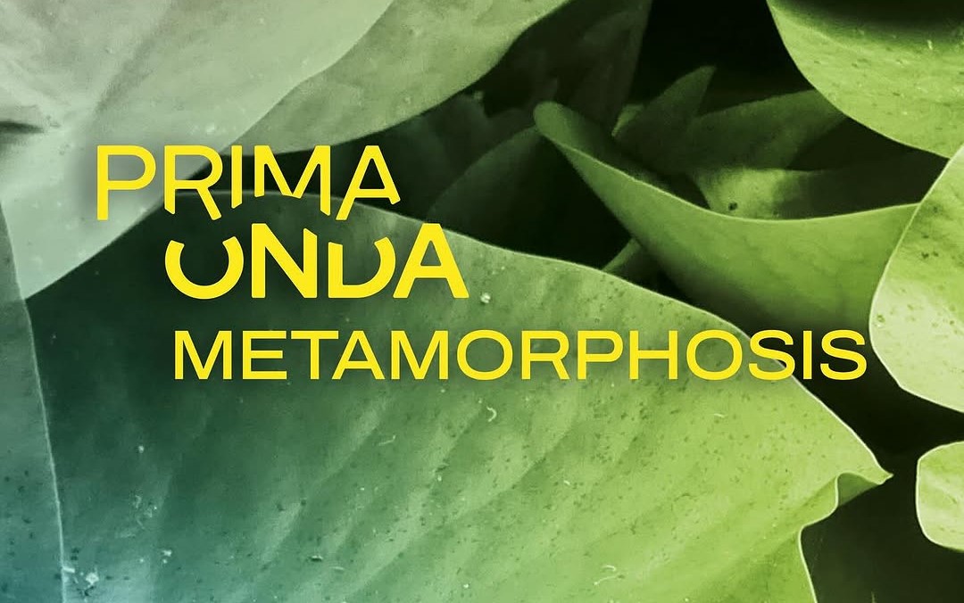 Immagine Prima Onda - Metamorphosis